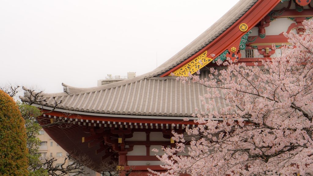Quand partir au Japon ?