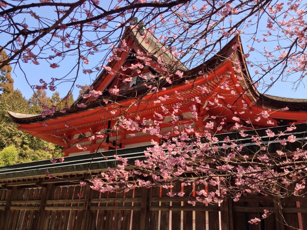 Organiser son voyage au Japon : mes conseils