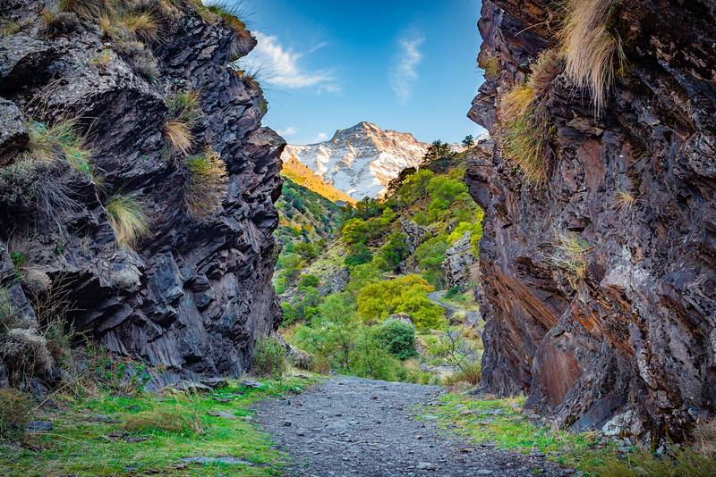 Vue magnifique depuis le sentier de randonnée Vereda de la Estrella dans le parc naturel de la Sierra Nevada.